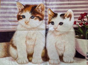 ручная вышивка(две кошки)