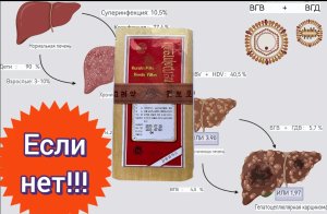 Куминтунгунал
